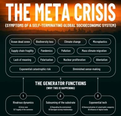 ../assets/metacrisis