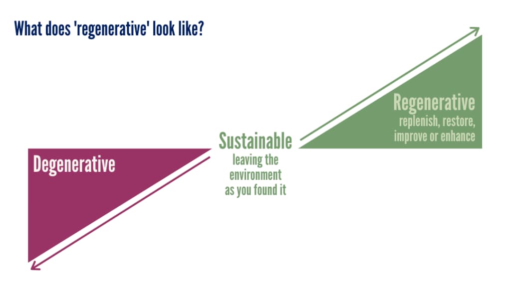 ../assets/sustainble-vs-regenerative