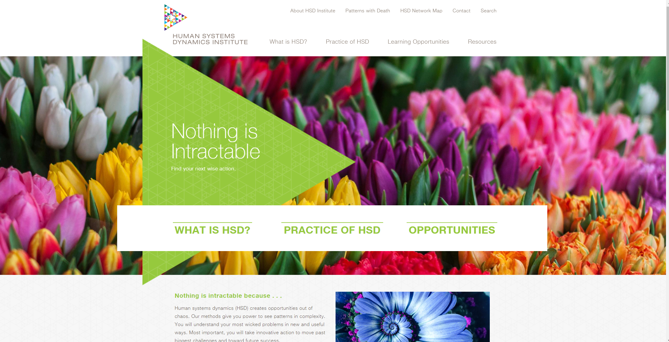 Human Systems Dynamics Institute