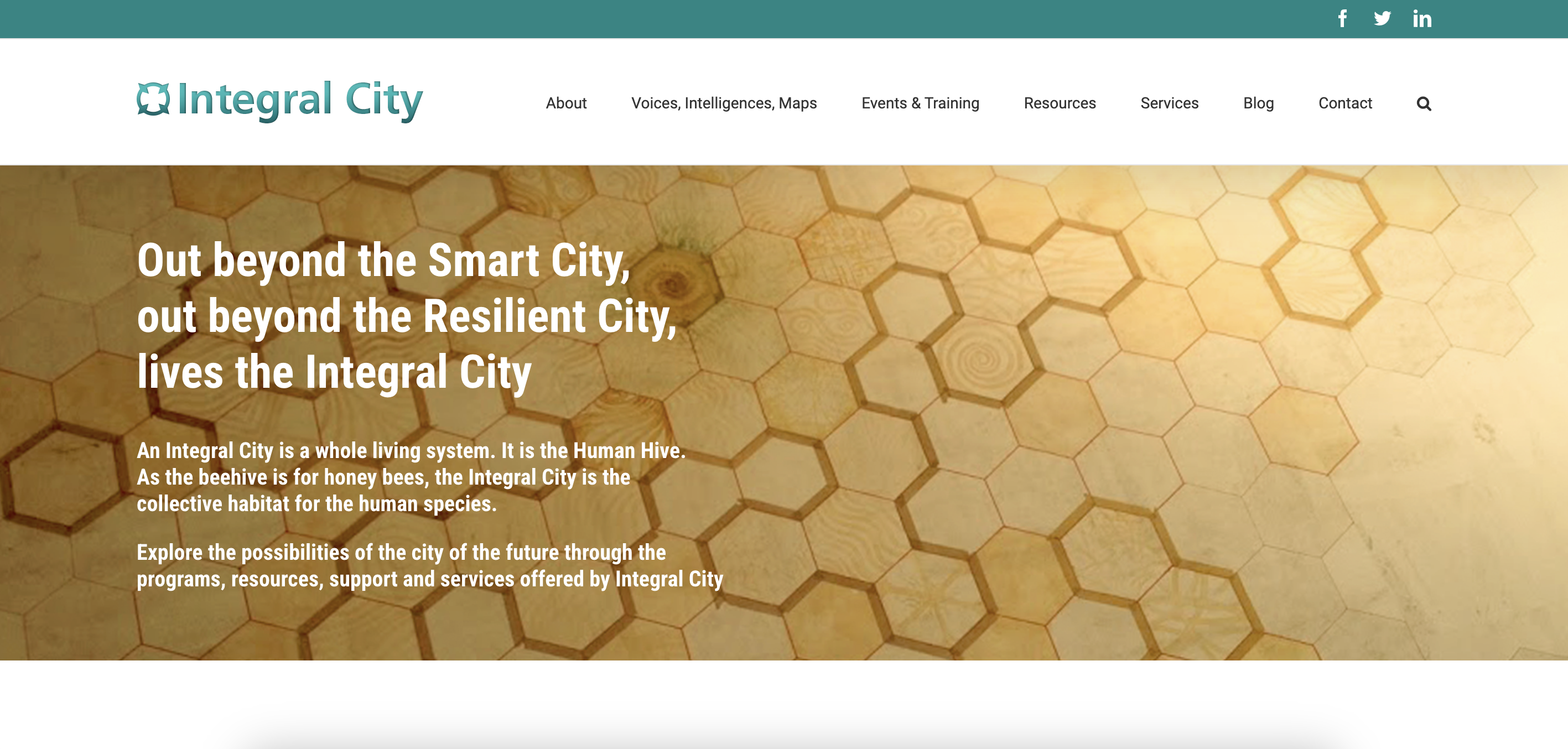 Integral City