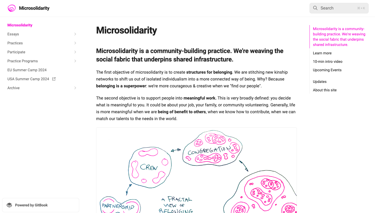 Microsolidarity Network